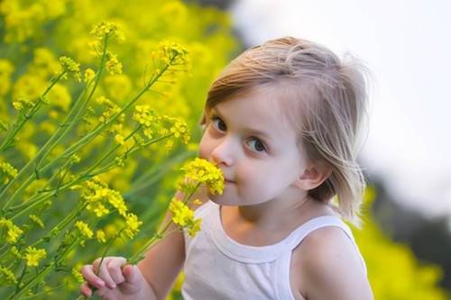 张姓女孩带木的名字