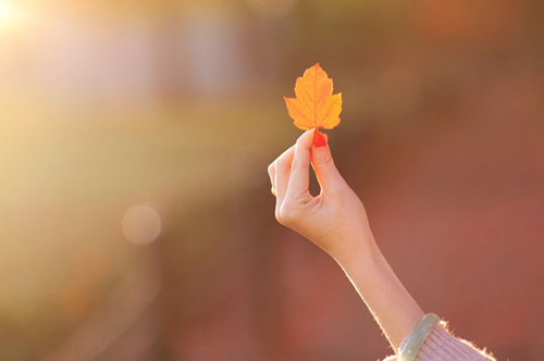 带土的女孩子名字