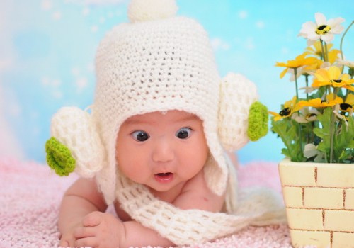 WX属木的起名好听的