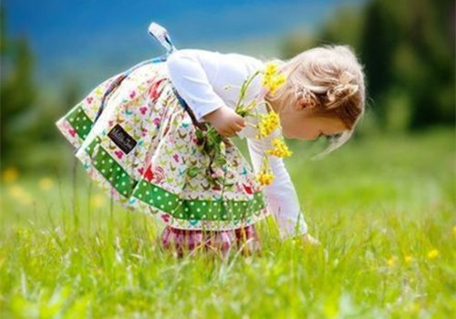 植字辈女孩取名大全