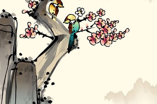 2022虎年胡姓男宝宝取名大全 给男宝宝取寓意好听的名字