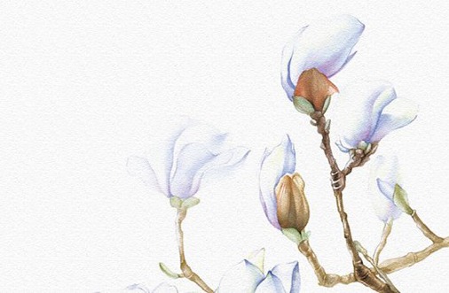 租赁公司起什么名好 最响亮好听的租赁公司名字