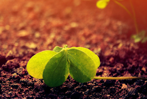 楚辞男孩名大气大全集