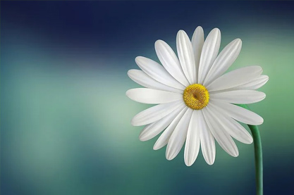 2022年一听就很多学问的男孩起名 虎年高智商的男孩名字