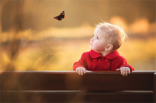 出自诗经的名字男孩