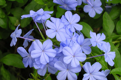 养生企业取名字大全 寓意健康绿色的含义的企业名字