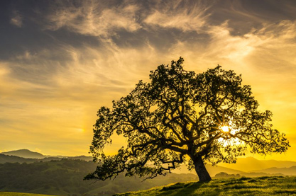 好听大气和招财的公司名 热门招财的公司名
