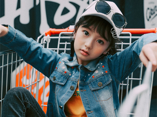 诗经里带辰的诗句名字