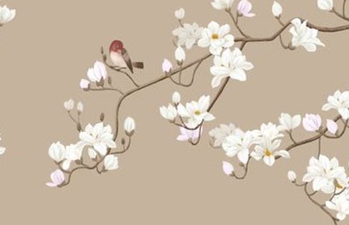 燕窝店有创意的名字 店铺起名有财气有生意