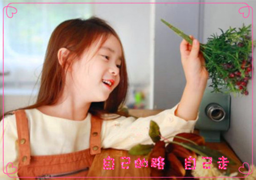 给女宝宝起个名字姓秦