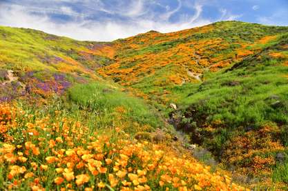 2023年今年男宝宝取什么名字好 属兔有寓意的楚辞取名