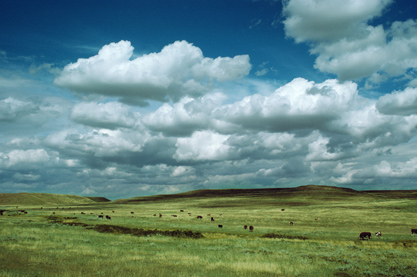 最新版免费有内涵的公司取名字大全 不会取名的可以这样取