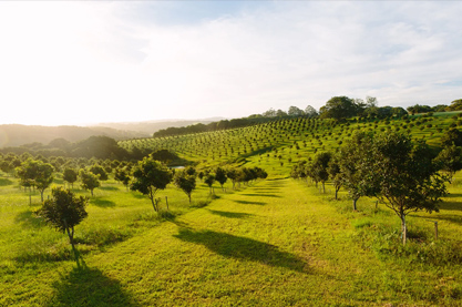 高端大气的公司名字推荐 好听大气上档次的公司名字