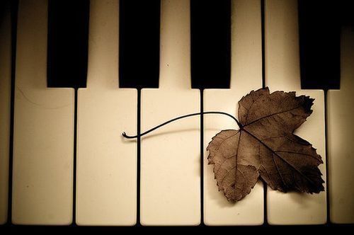 WX缺水的虎宝宝男孩名字