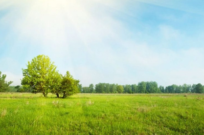 2022年三个字好听的公司名字   2022年文雅的公司名怎么起好听