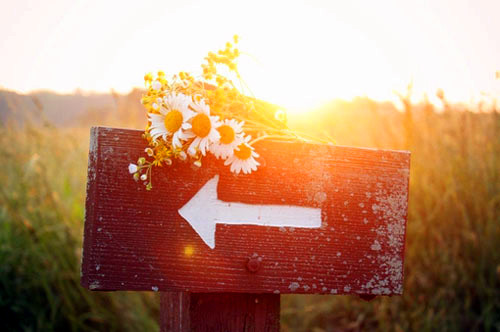 WX金取名和什么搭配最好