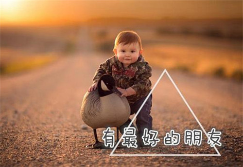 国风诗经取男孩名字