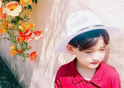 嘉的男孩名字出自楚辞