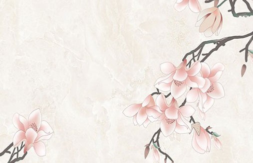 2022年新生儿薛姓男孩名字大全 薛姓男孩最好听霸气的起名