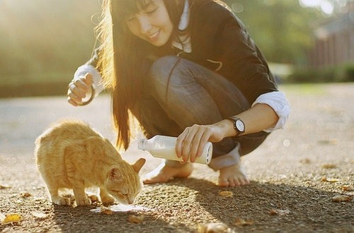 WX缺火的男孩取名精选