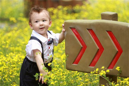 诗经里带辰的诗句名字