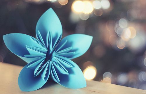 虎宝王姓WX属火木的名字