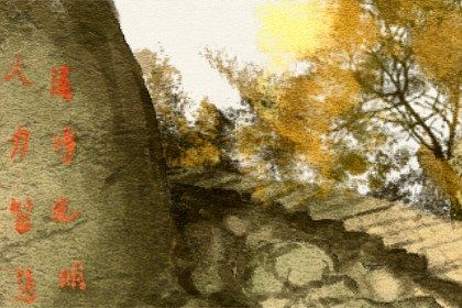 2023卯兔年出生有文采的属兔男宝宝取名 好听新颖有涵养