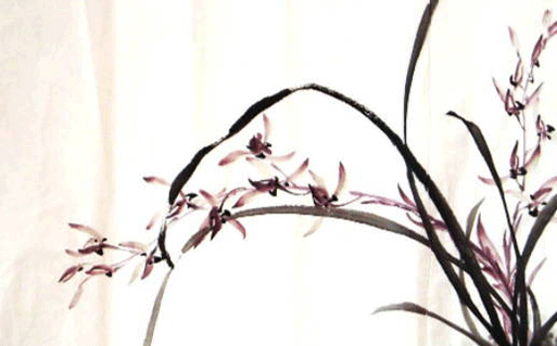 2023属兔男孩取什么名字好 兔年寓意男孩眼光正直的名字