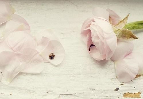 WX金取名和什么搭配最好