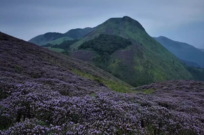 2022年10月出生有诗意有典故的男孩名字 踏实可靠个性十足