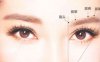 MX3解析：圆眼之人搭配何种眉型易招桃花？