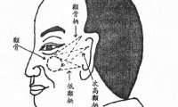 阅人三十六术之十二：颧骨