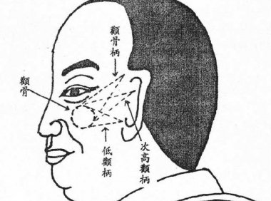 阅人三十六术之十二：颧骨