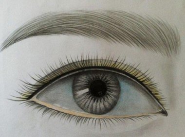 阅人三十六术之四:眉毛