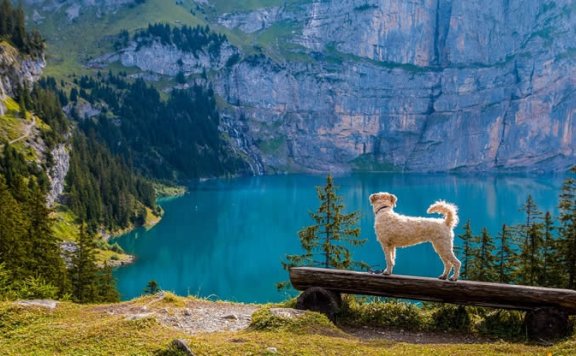 “坎”GUA说坎：33岁、66岁、73岁… 人一辈子到底有多少道“坎”？