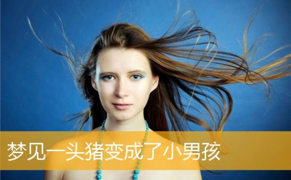 梦见一头猪变成了小男孩