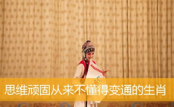 思维顽固从来不懂得变通的生肖