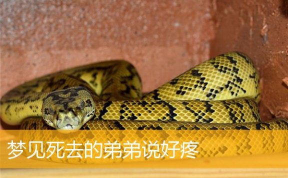 梦见死去的弟弟说好疼