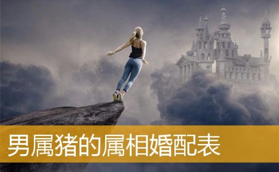 男属猪的属相婚配表