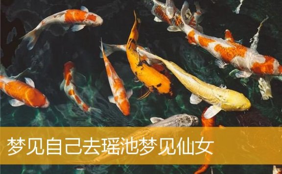 梦见自己去瑶池梦见仙女