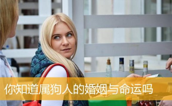 你知道属狗人的婚姻与MY吗