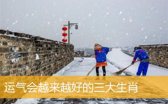 YQ会越来越好的三大生肖