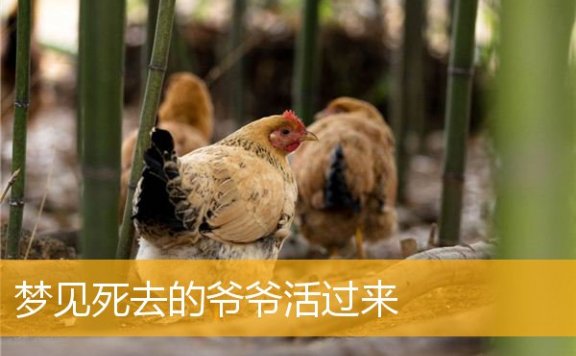 梦见死去的爷爷活过来