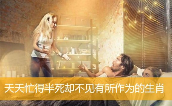 天天忙得半死却不见有所作为的生肖