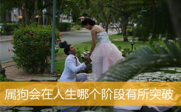 属狗会在人生哪个阶段有所突破