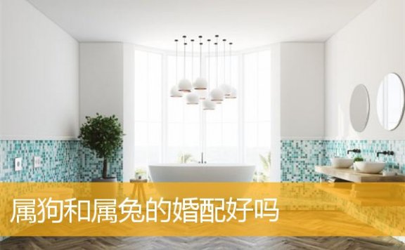 属狗和属兔的婚配好吗