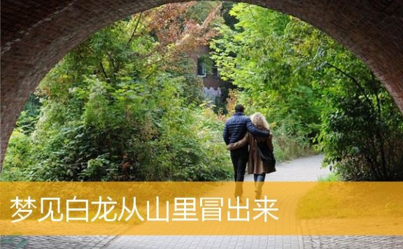 梦见白龙从山里冒出来