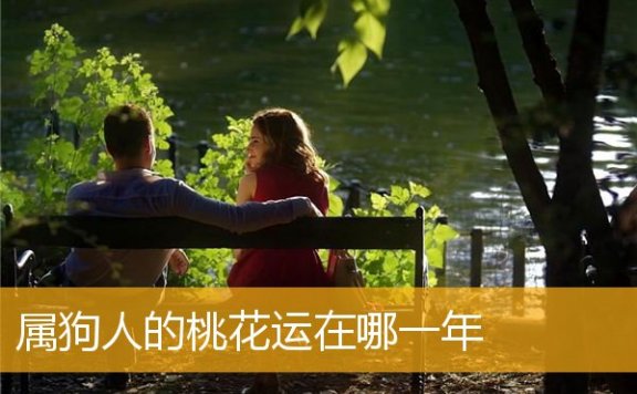 属狗人的桃花运在哪一年