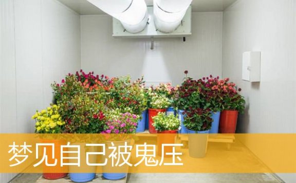 梦见自己被鬼压