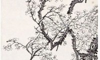 营业执照怎么选名字 吉祥如意的店铺起名大全